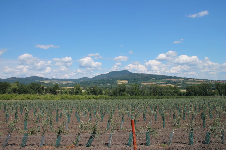 File:Ploskovice, 2020 (01).jpg