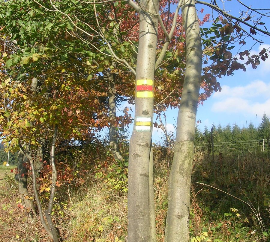 File:Rejdice a Paseky, stará silnice, značky.jpg