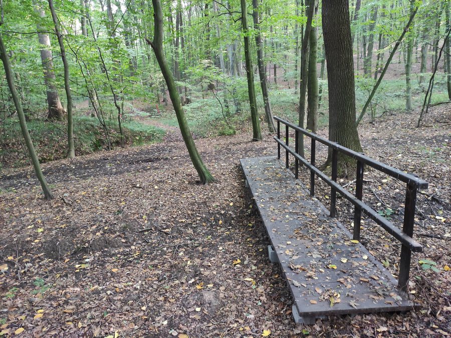 File:Přírodní rezervace Hněvošický háj, Hněvošice, okres Opava, Česko 01.jpg