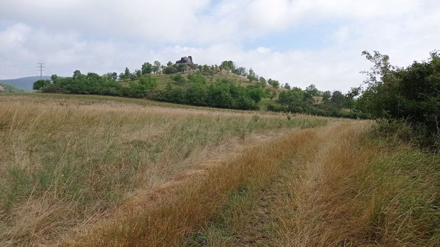 File:Kočka betw. Litoměřice+Žitenice 01.jpg