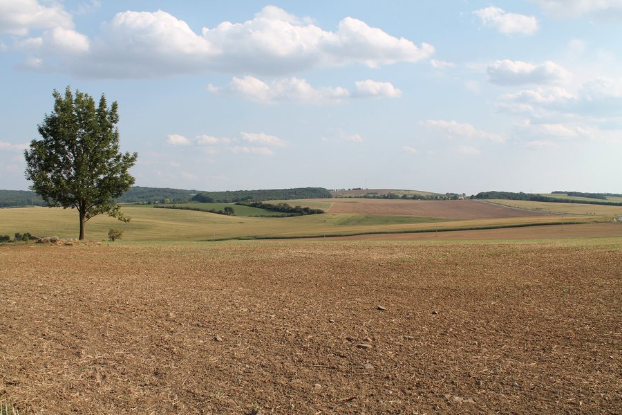File:Prusy-Boškůvky, Zouvalka, pohled k Manerovu (2017-08-26; 01).jpg