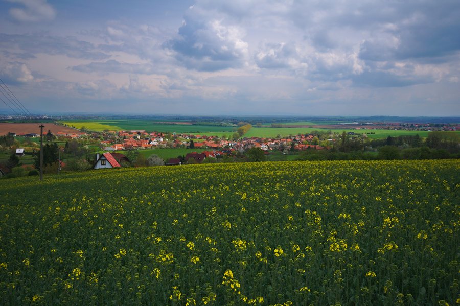 File:Obec od západu, Seloutky, okres Prostějov.jpg