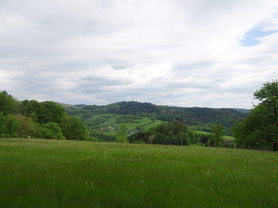 File:Rusava, Grapy, výhled.jpg