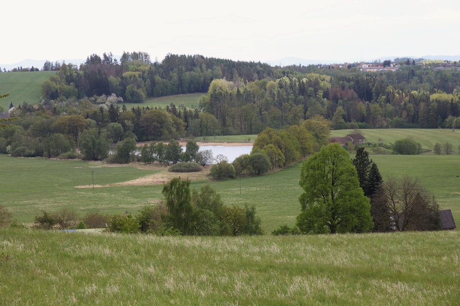 File:Lusný rybník, Dubičné (01).jpg