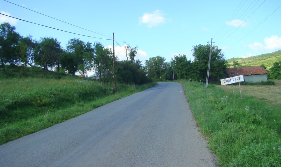File:RO CJ Căprioara (1).jpg