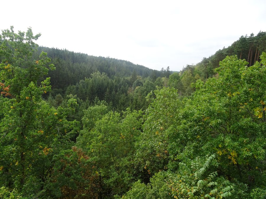 File:Okrouhlé Hradiště, údolí Hadovky z Gutštejna.jpg