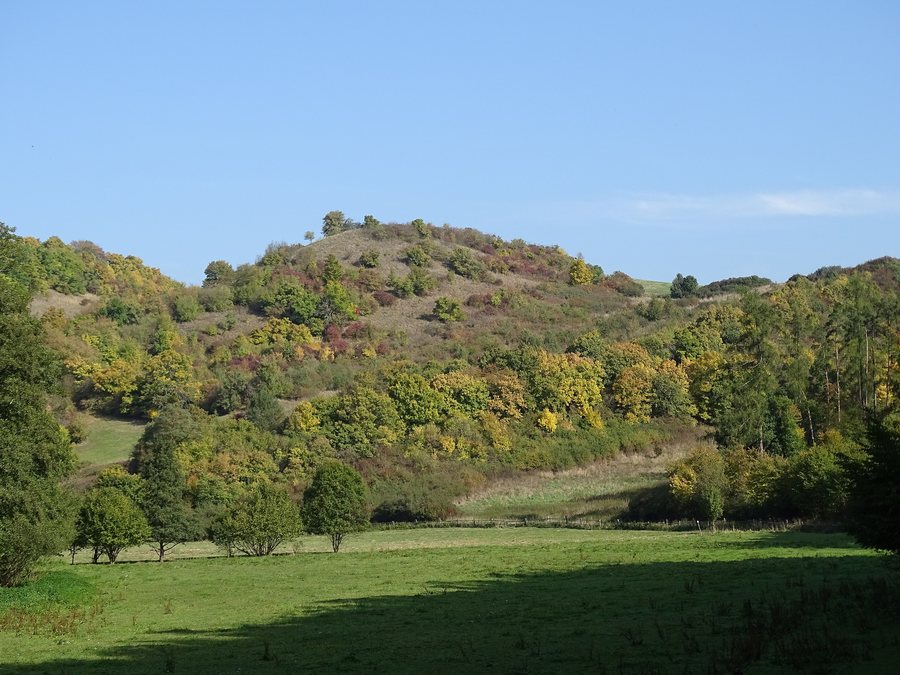 File:Stradonice (Nižbor), údolí Habrového potoka, louka, k Hradišti (01).jpg