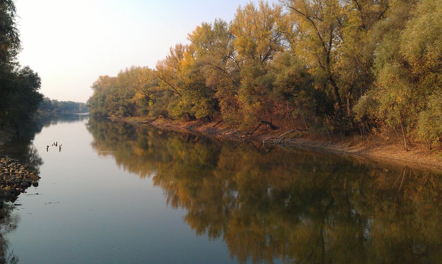 File:946 03 Kolárovo, Slovakia - panoramio (1).jpg