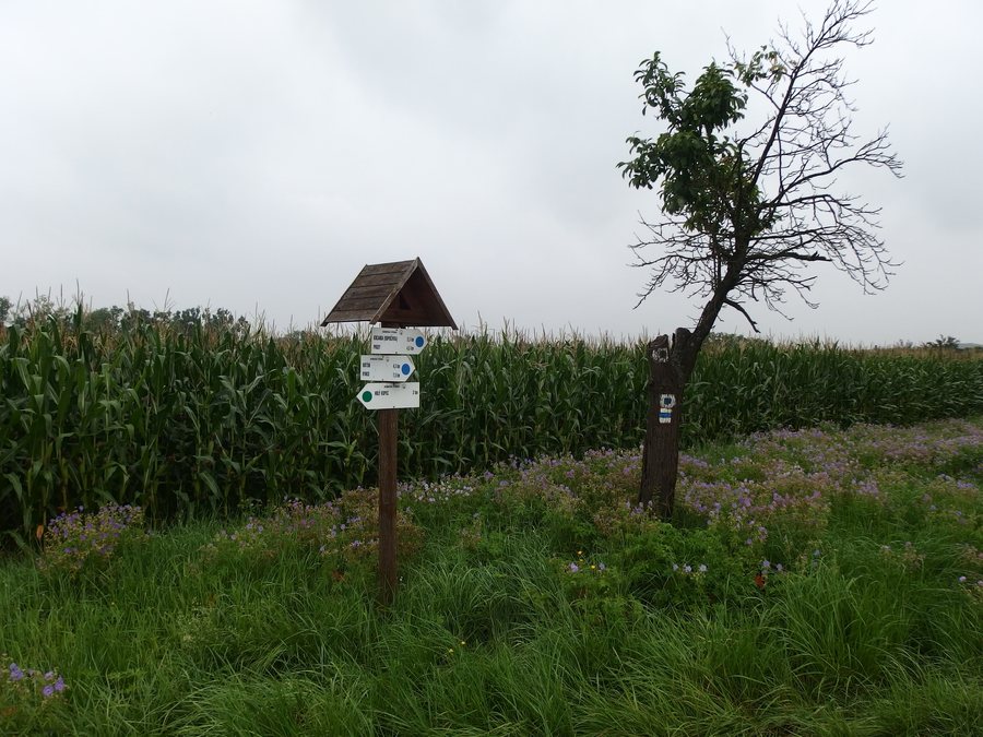 File:Karlovice (Kostelec u Holešova), hipoturistické značení.jpg