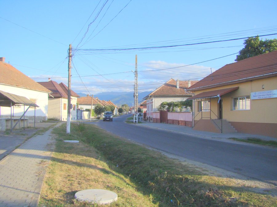 File:RO BV Lisa (2).jpg