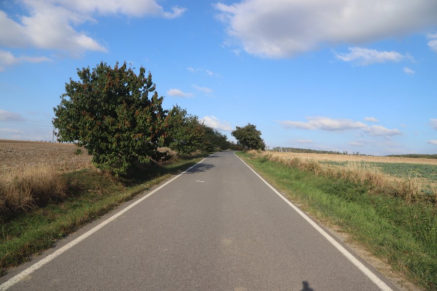 File:Overview of road III 3928 near Pucov, Třebíč District.jpg