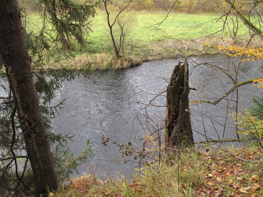 File:Slezská Harta (Leskovec nad Moravicí), Moravice.jpg