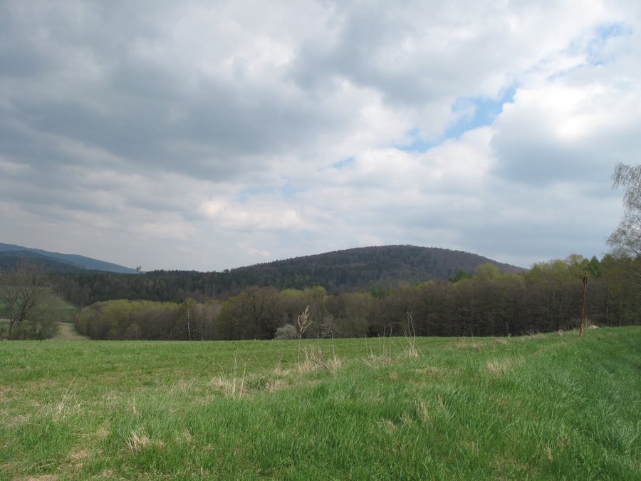 File:Liščí (Chudenín), Jezvinec.jpg