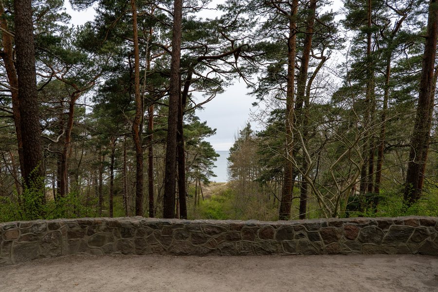 View of the Baltic Sea from Birutė Hill