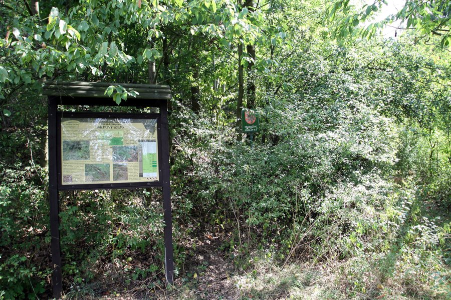 File:Natural monument Medový Újezd in 2014 (1).JPG
