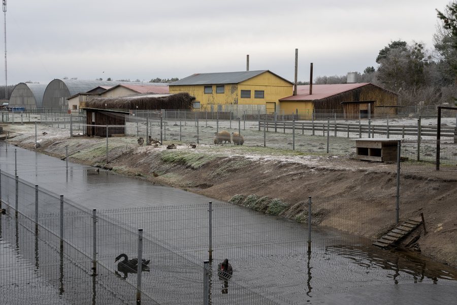 File:Grūtas Park zoo.jpg