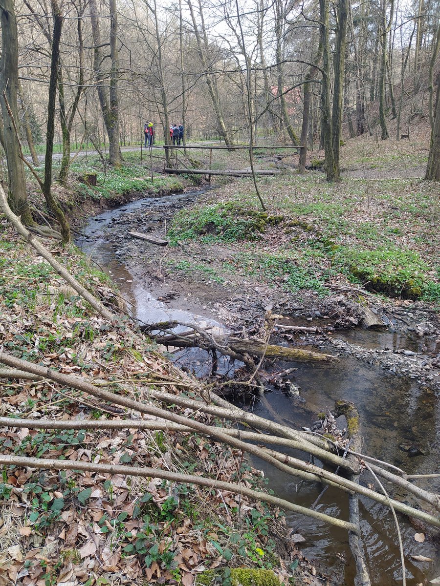 File:Údolí Kremlice, Čertův Mlýn, Velká Polom 2.jpg