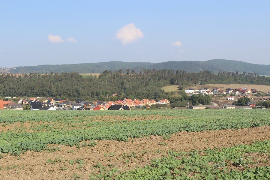 File:003 Z Levínu Trubín S.jpg