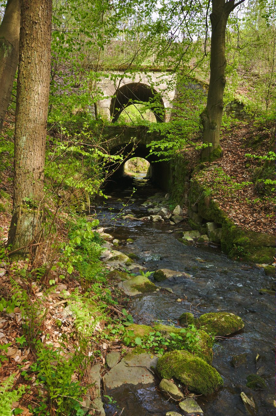 File:Potok Jírovec, Domašov nad Bystřicí, okres Olomouc (03).jpg