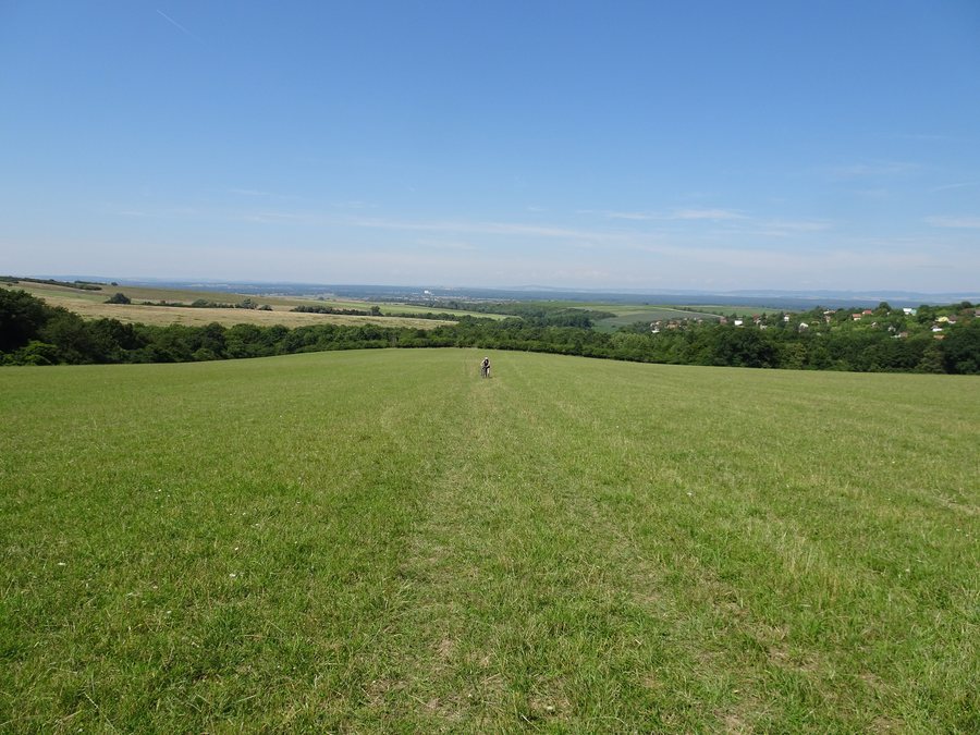 File:Skalica, Kostolnica, lúka.jpg