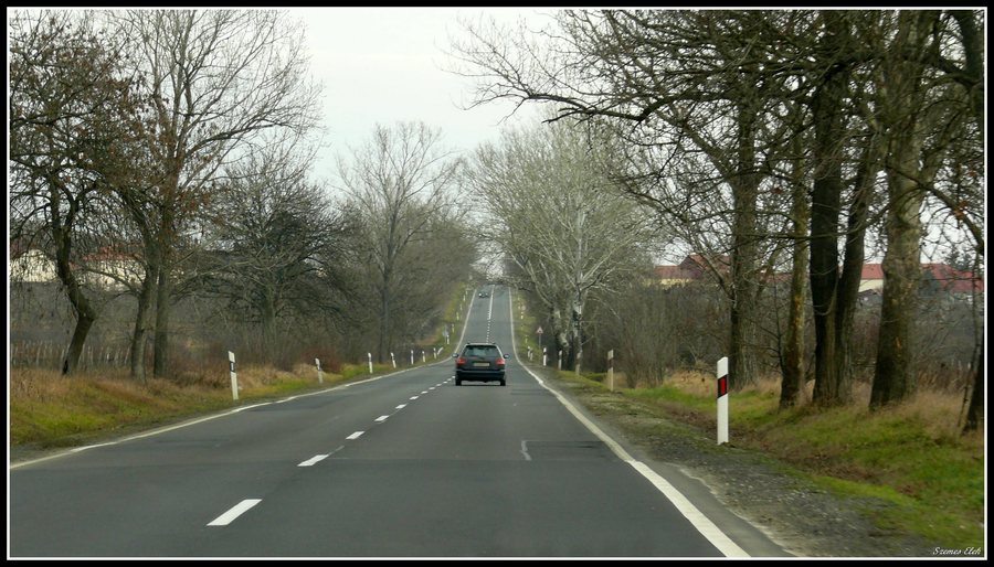 File:Szegi, 3918 Hungary - panoramio (1).jpg