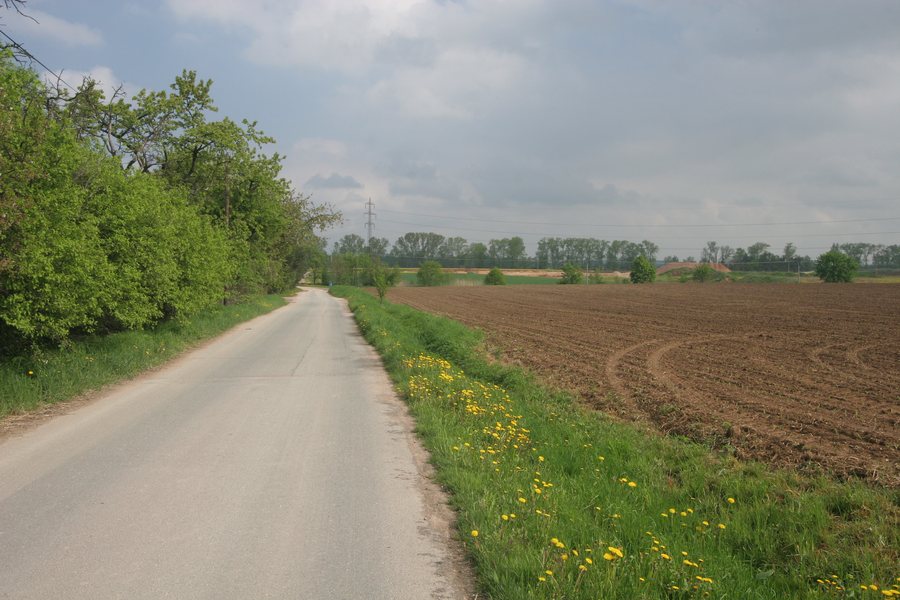 File:Obědovice cesta k písníkům.JPG