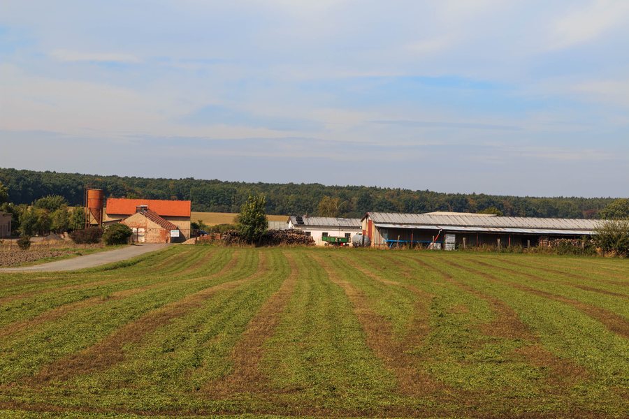 File:Dománovice farma.jpg