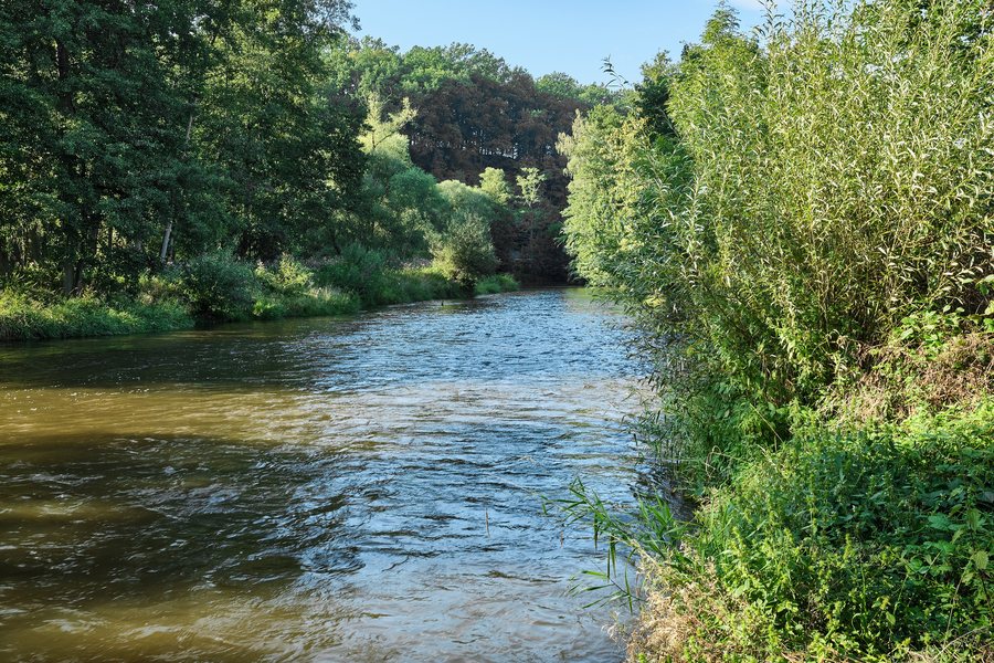 File:Šabina Ohře srpen 2023 (2).jpg