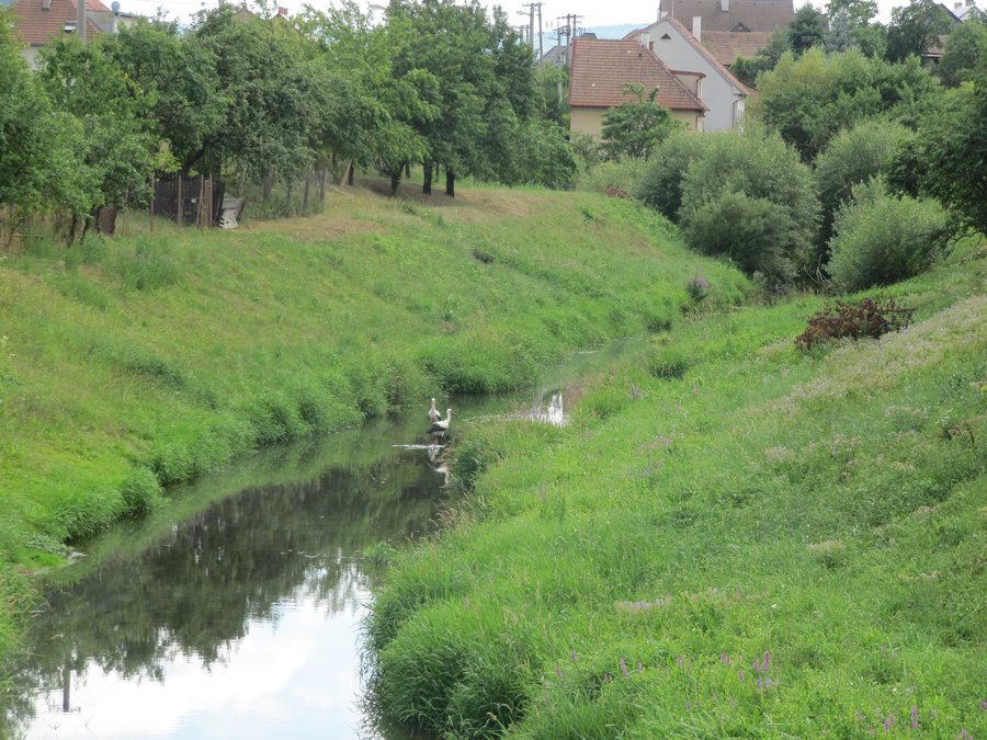 File:Vlachovice (ZL), Vlára.jpg