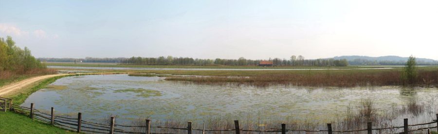 File:Gajna panorama.jpg