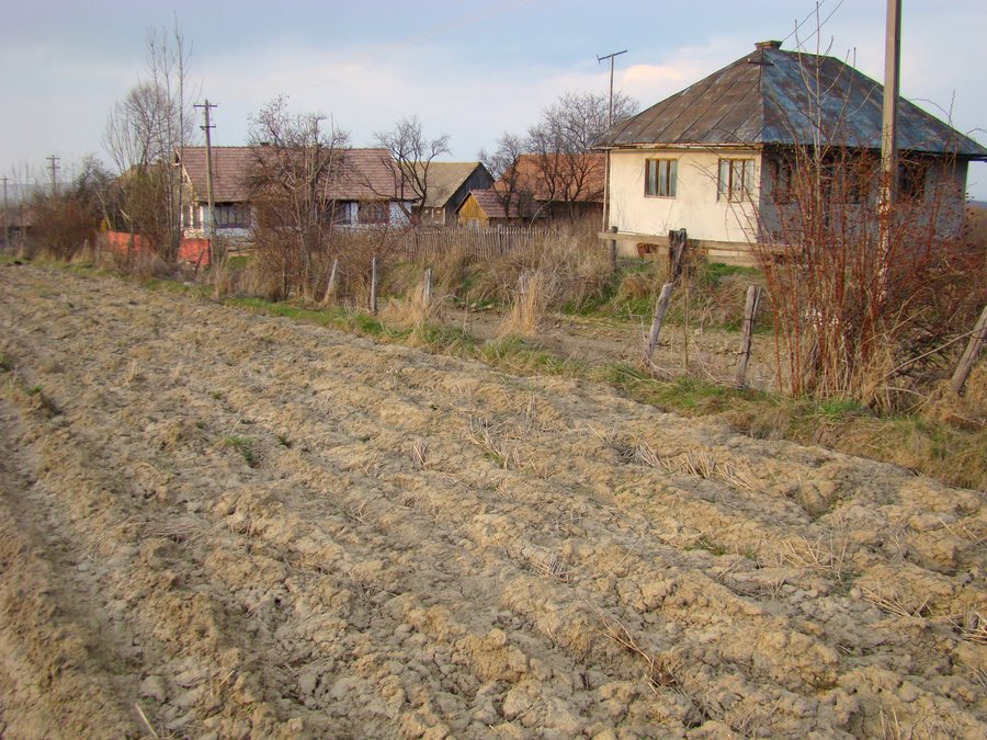 File:Biserica de lemn din Bălcești (18).jpg