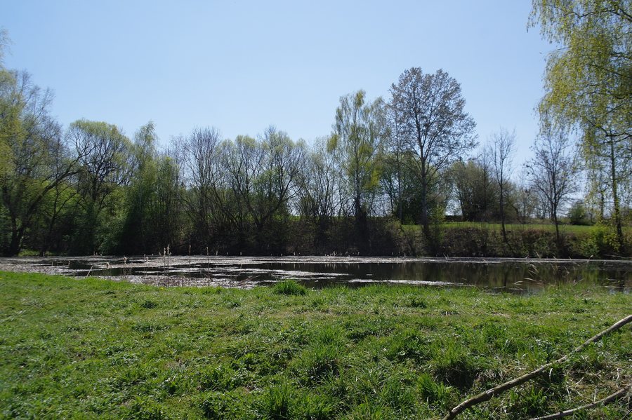 File:Křížov (Pravonín) (001).jpg