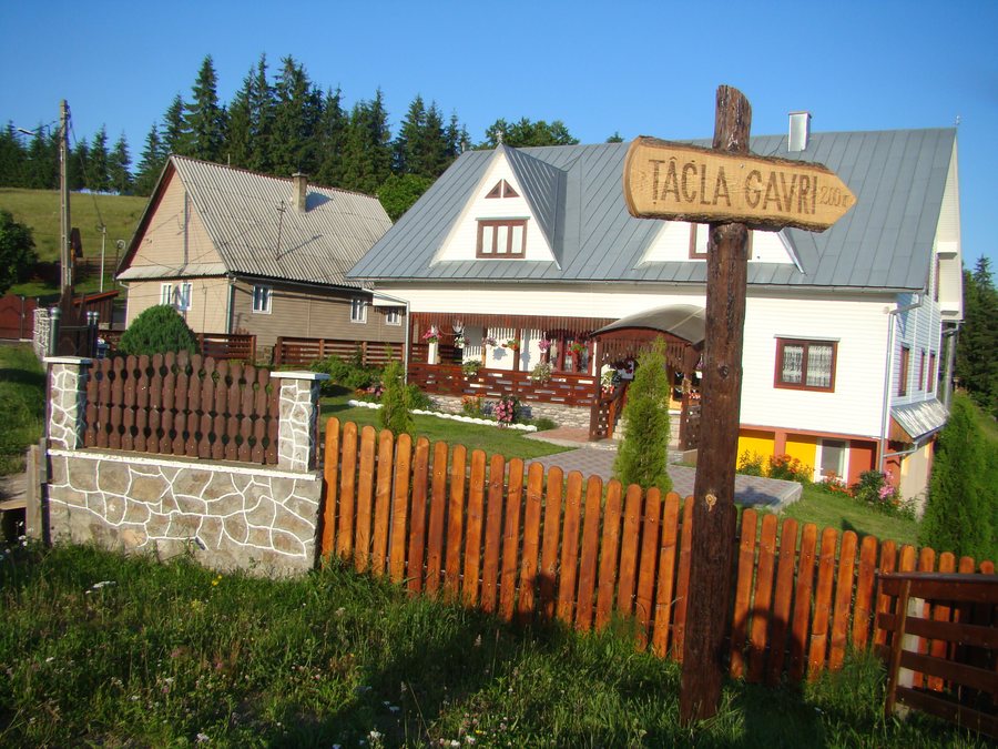 File:Mărișel 2023 (27).jpg