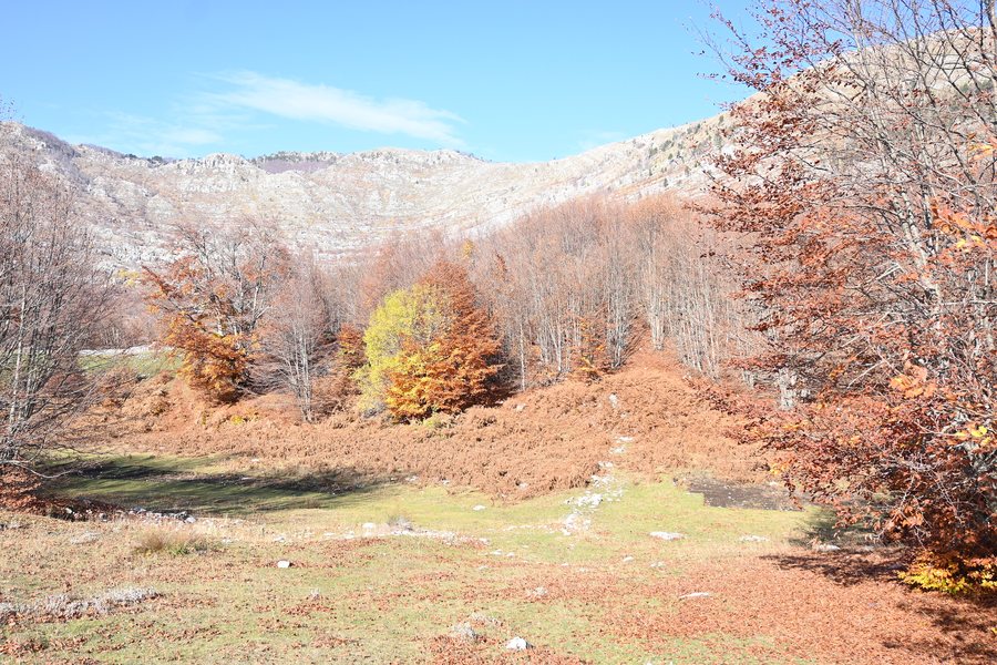 File:Razem ne vjeshte.jpg