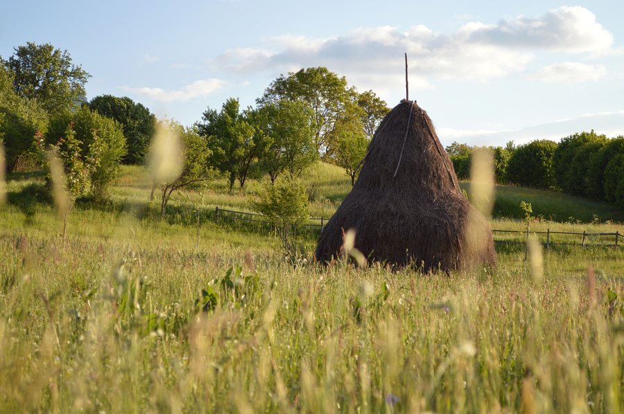 File:Haystack in the evening, Breb, Ocna Șugatag, 2017.jpg