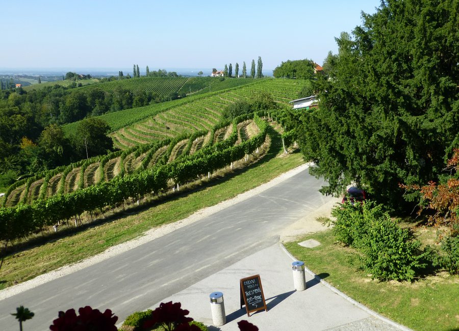 File:Hotel Jeruzalem Ivanjkovci Vineyards 208.JPG