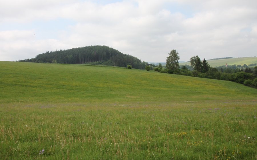 File:Heřmánkovice, Supí vrch, pohled ze severu (02).jpg