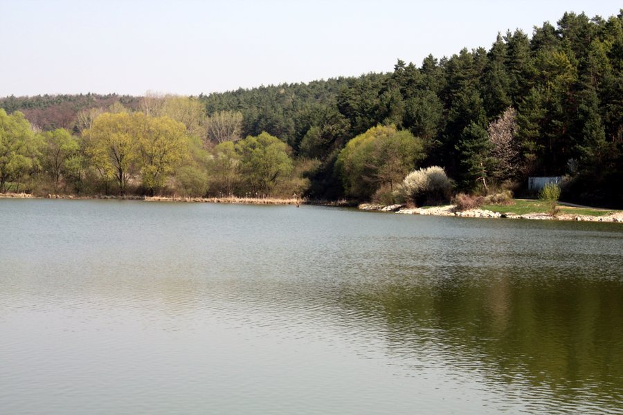 File:Tesáre - oproti hrádzi - panoramio.jpg