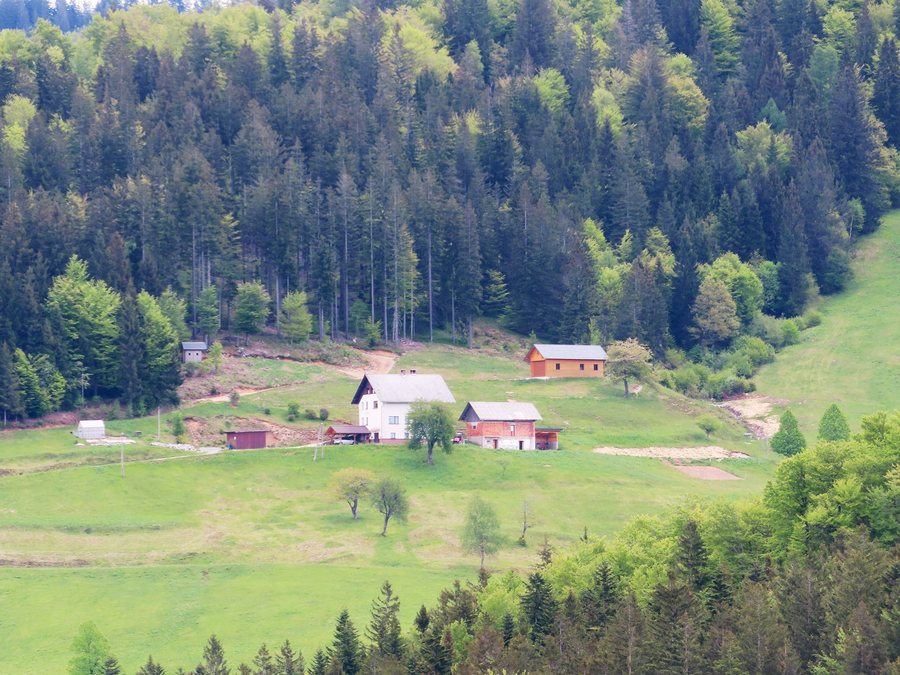 File:Davča Železniki Slovenia - Lavrička.jpg