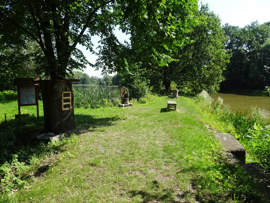 File:Jistebník, Krupův rybník (2).jpg