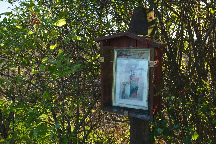 File:Boží muka severně od vesnice u silnice k Milkovu, Dětkovice.jpg