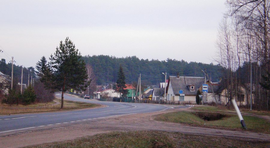 File:Juodšiliai 2.JPG