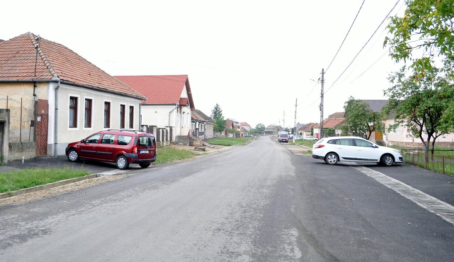 File:RO BH Osorhei (2).jpg