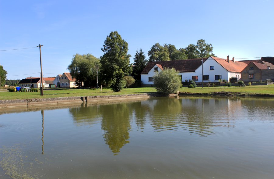 File:Zadní Vydří, common pond.jpg