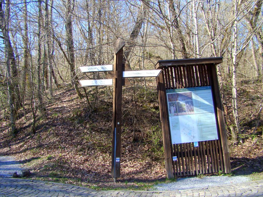 File:Drumul Sării din Sovata (1).jpg