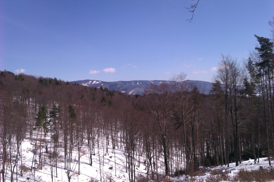File:972 27 Liešťany, Slovakia - panoramio (1).jpg