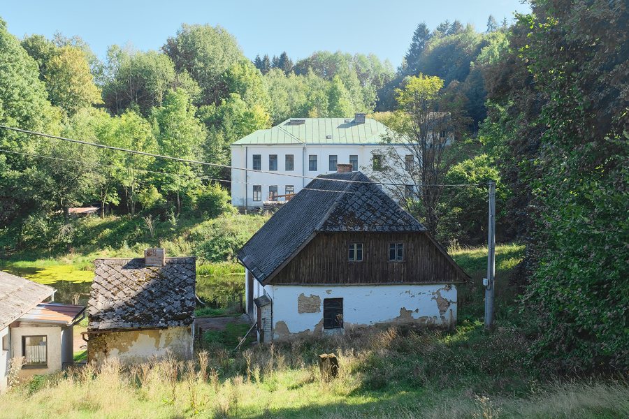 File:Pivoň září 2023 (1).jpg