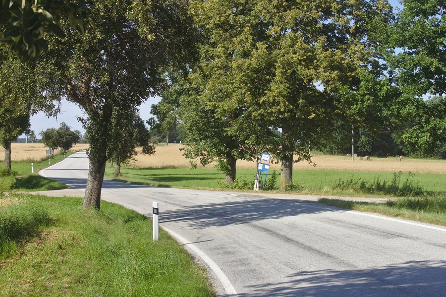 File:Příbraz, alej.jpg