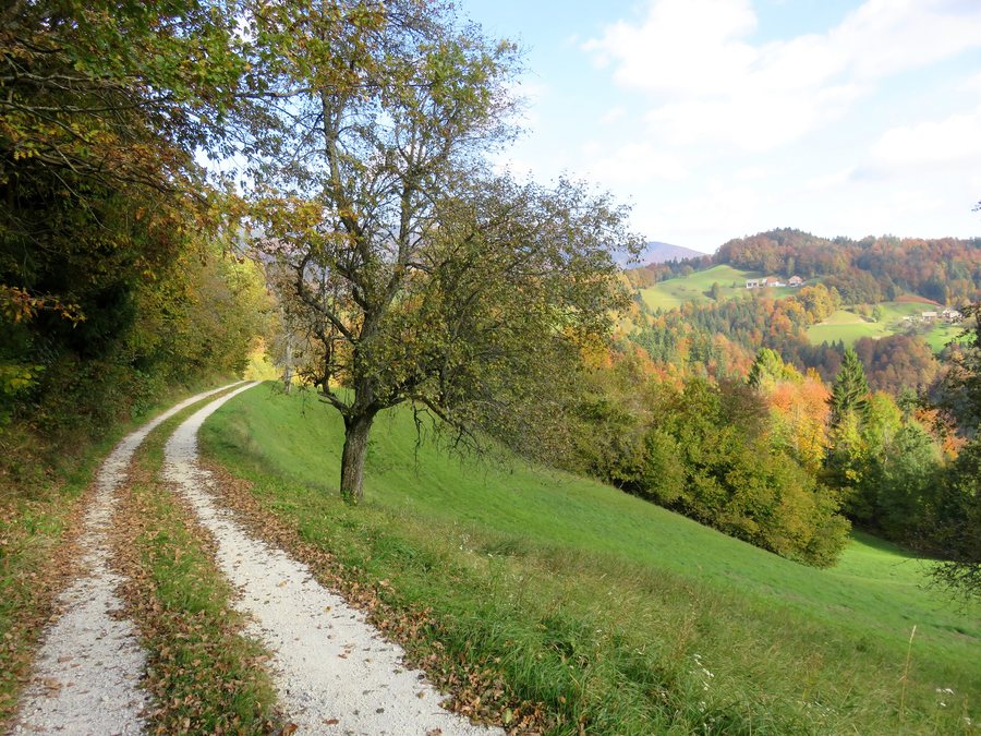 File:Novine Cerkno Slovenia - road.jpg