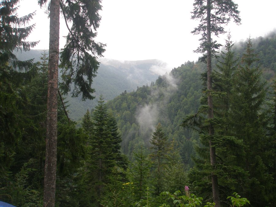 File:Vrbas - panoramio - cosic4.jpg